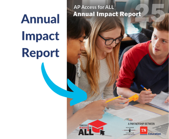 Yr4 Annual Impact
